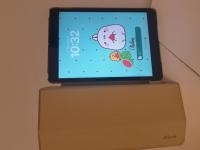 CS2195/2026 GREY IPAD WITH GOLD COVER - MODEL A2602